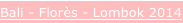 shapeimage_4_link_3