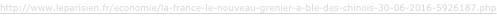 shapeimage_1_link_23